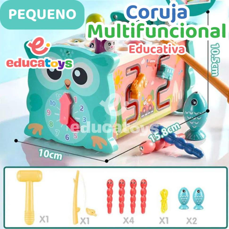 Coruja Multifuncional Educativa